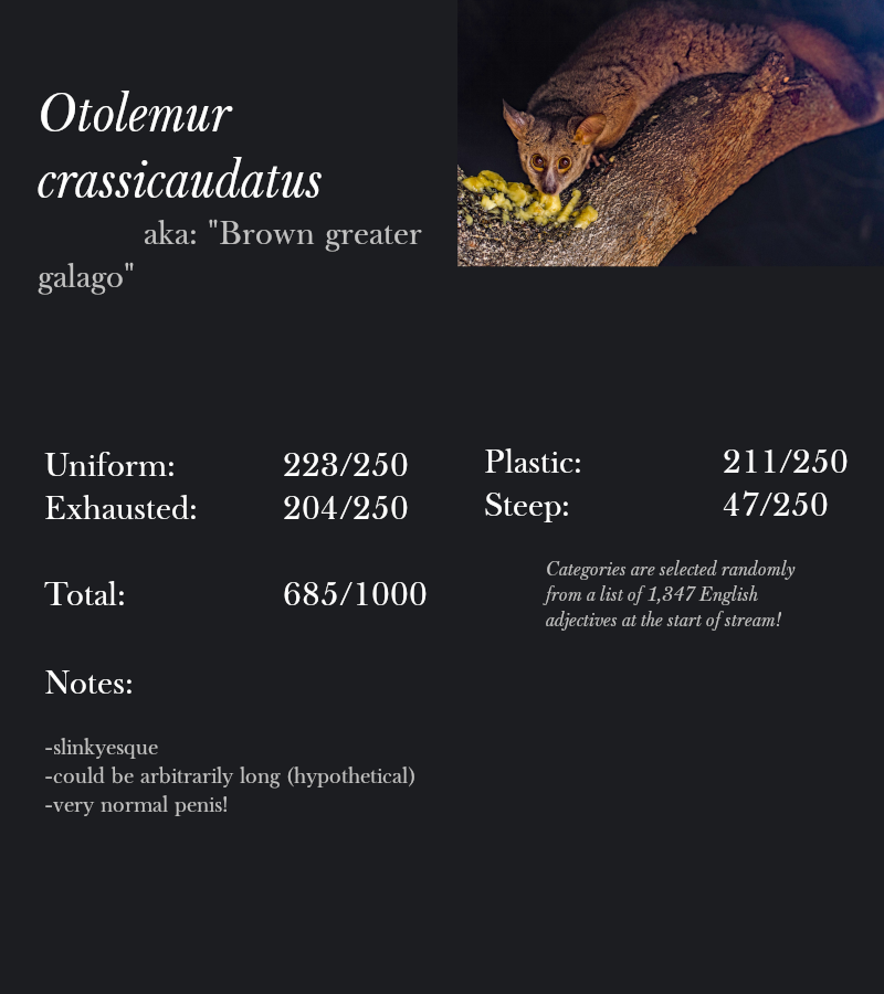 Otolemur crassicaudatus